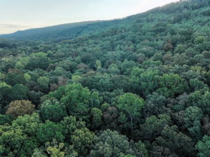 Farm and Ranch for sale in Saint Clair County, Alabama