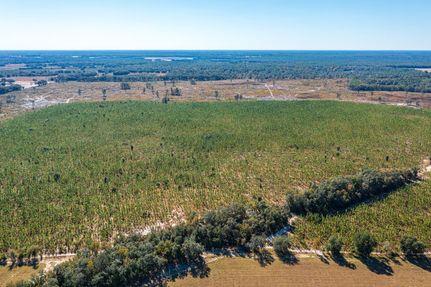 Undeveloped Land for sale in Alachua County, Florida