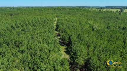 Recreational Property for sale in Taylor County, Georgia