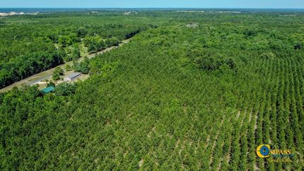 Land for sale in Marion County, Georgia