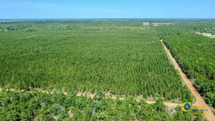 Undeveloped Land for sale in Marion County, Georgia