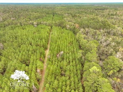 Land for sale in Ware County, Georgia
