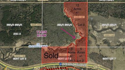 Undeveloped Land for sale in Beltrami County, Minnesota