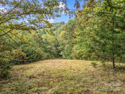 Undeveloped Land for sale in Buncombe County, North Carolina