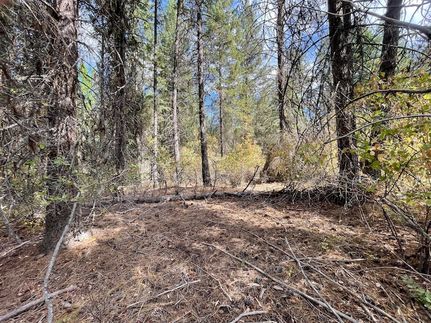 Undeveloped Land for sale in Ferry County, Washington