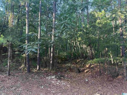 Land for sale in Jefferson County, Alabama