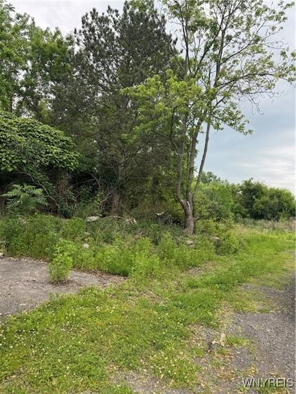 Undeveloped Land for sale in Niagara County, New York