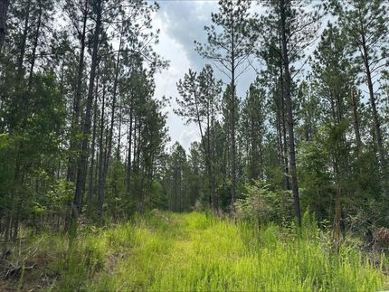 Recreational Property for sale in Fairfield County, South Carolina