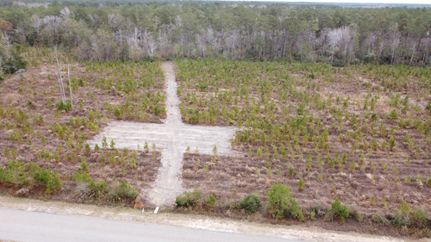 Land for sale in Georgetown County, South Carolina