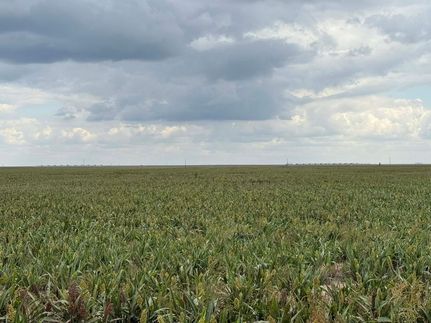 Land for sale in Texas County, Oklahoma