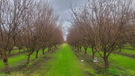 Land for sale in Fresno County, California