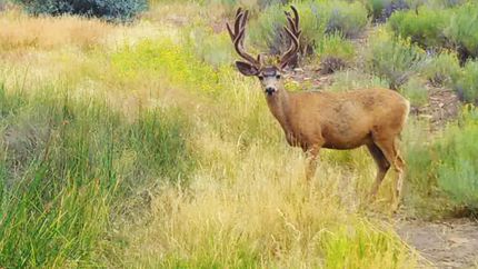 Land for sale in San Miguel County, Colorado