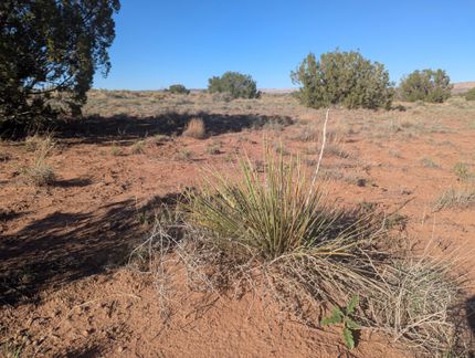 Farm and Ranch for sale in Apache County, Arizona