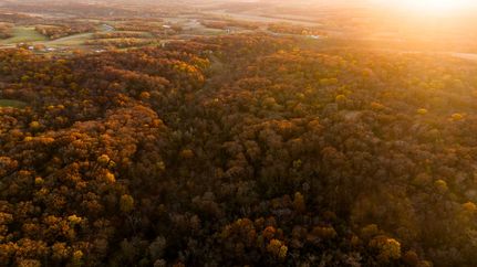 Hunting Property for sale in Monroe County, Iowa