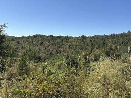 Farm and Ranch for sale in Lamar County, Alabama