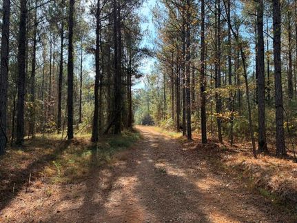 Land for sale in Hancock County, Georgia