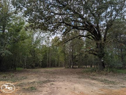 Land for sale in Lauderdale County, Alabama