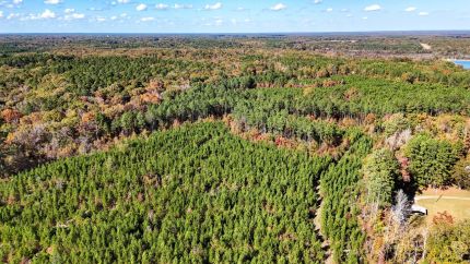 Farm and Ranch for sale in Bradley County, Arkansas