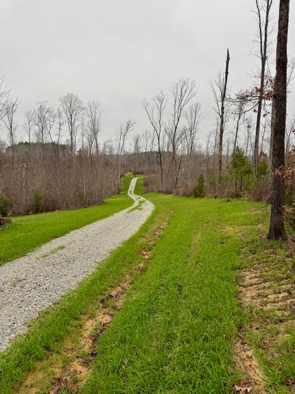 Timberland Property for sale in Decatur County, Tennessee
