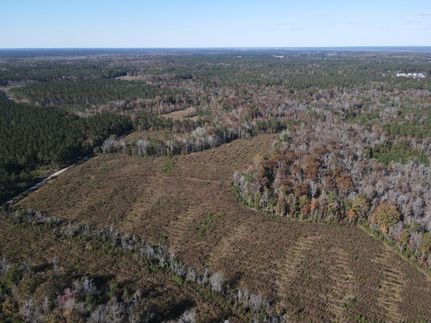 Timberland Property for sale in Craven County, North Carolina