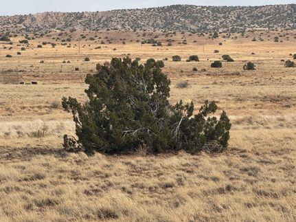 Farm and Ranch for sale in Apache County, Arizona
