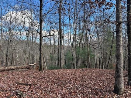 Land for sale in Lumpkin County, Georgia