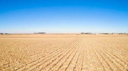 Farm and Ranch for sale in Cherokee County, Iowa