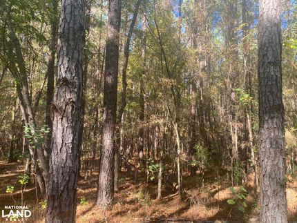 Timberland Property for sale in Montgomery County, Alabama