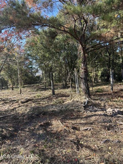 Waterfront Property for sale in Hancock County, Mississippi