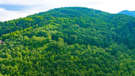 Undeveloped Land for sale in Greenville County, South Carolina