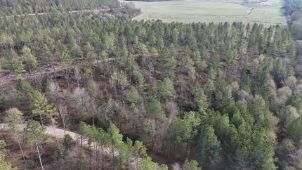 Land for sale in Cherokee County, Alabama