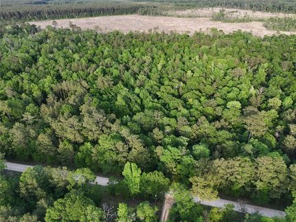 Undeveloped Land for sale in Liberty County, Texas