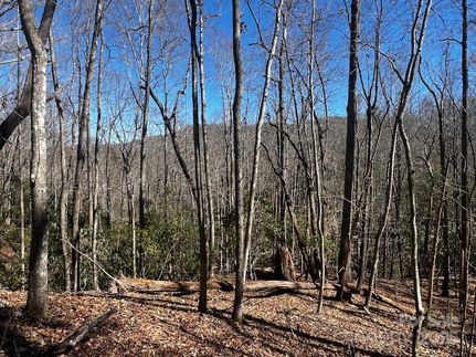 Farm and Ranch for sale in Transylvania County, North Carolina