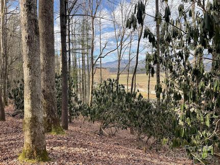 Farm and Ranch for sale in Transylvania County, North Carolina