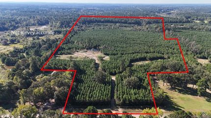 Undeveloped Land for sale in Marion County, Texas