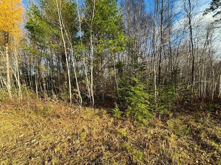 Undeveloped Land for sale in Penobscot County, Maine