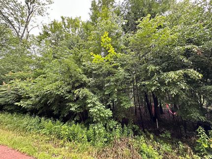 Undeveloped Land for sale in Marathon County, Wisconsin