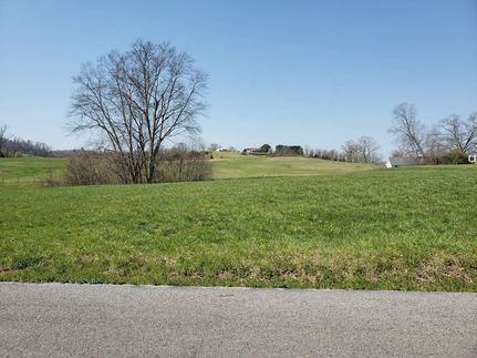Undeveloped Land for sale in Washington County, Virginia