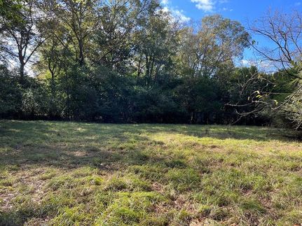 Undeveloped Land for sale in Sumter County, Georgia