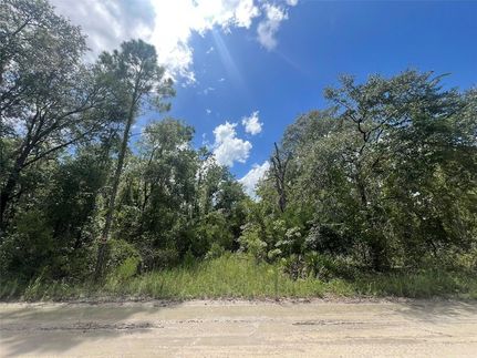 Farm and Ranch for sale in Gilchrist County, Florida