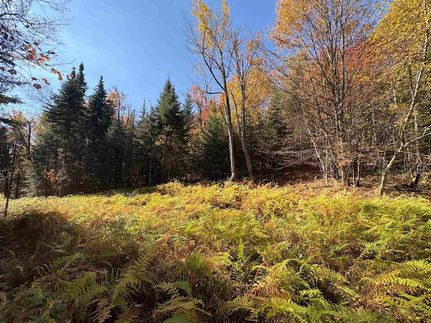 Farm and Ranch for sale in Caledonia County, Vermont