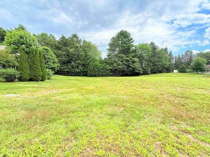 Undeveloped Land for sale in Windsor County, Vermont