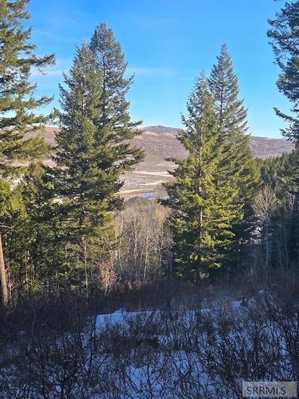 Recreational Property for sale in Bingham County, Idaho