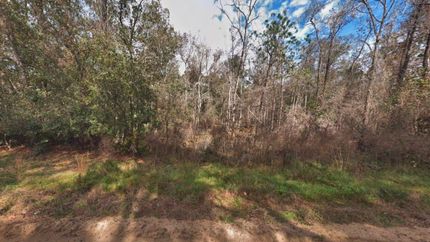 Land for sale in Putnam County, Florida