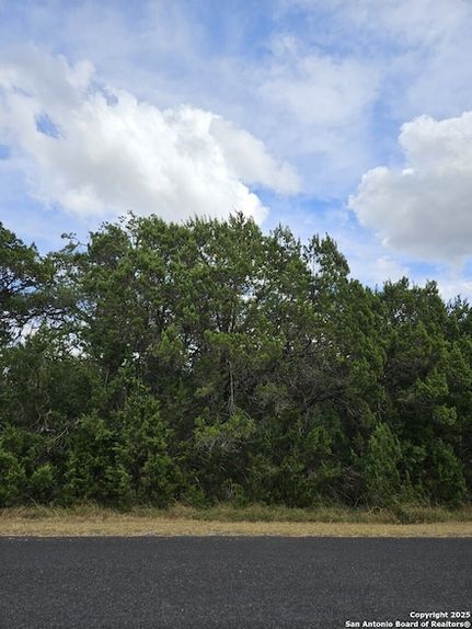 Farm and Ranch for sale in Bexar County, Texas