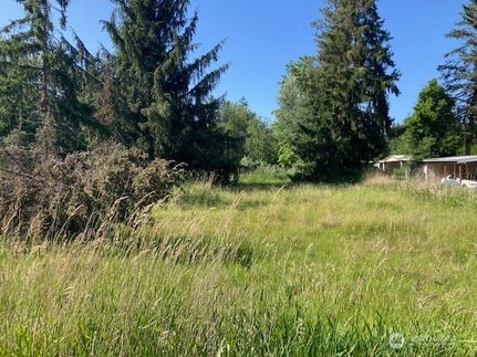 Undeveloped Land for sale in Thurston County, Washington