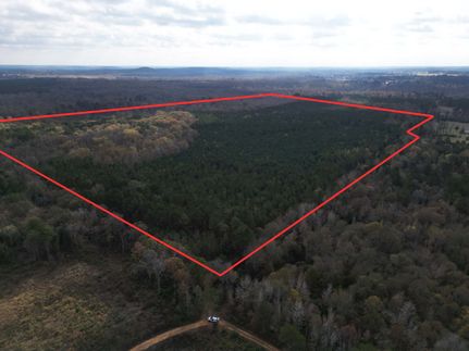 Timberland Property for sale in Cass County, Texas