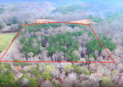 Undeveloped Land for sale in Randolph County, Alabama