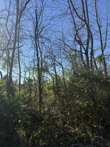 Land for sale in Le Flore County, Oklahoma