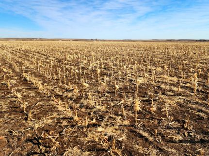 Farm and Ranch for sale in Kimball County, Nebraska